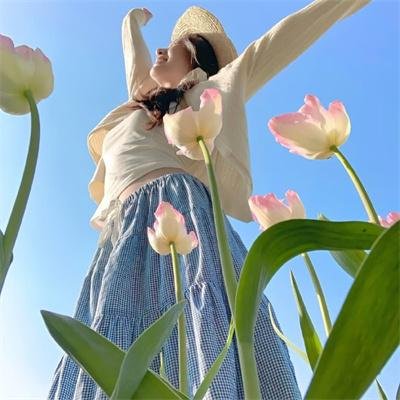 律师菲斯克 第一季